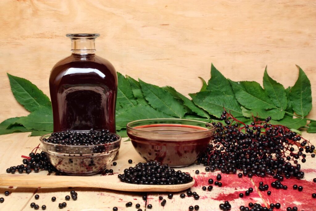 Elderberry Pregnancy Archives