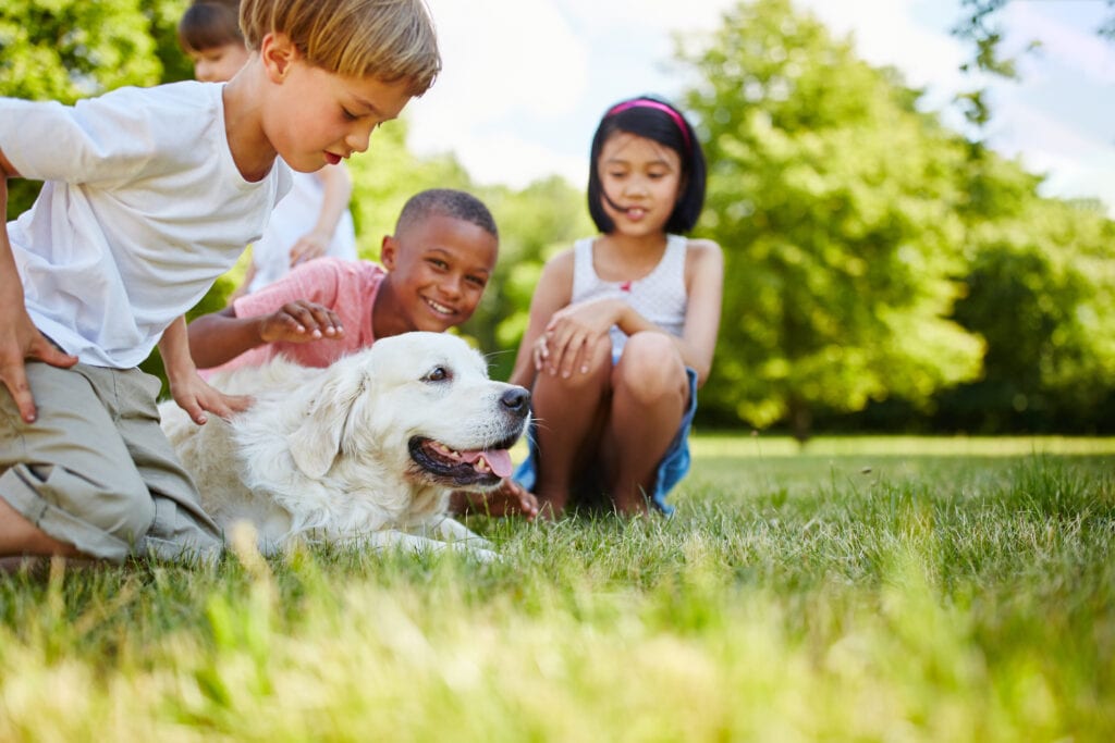 kids and dog