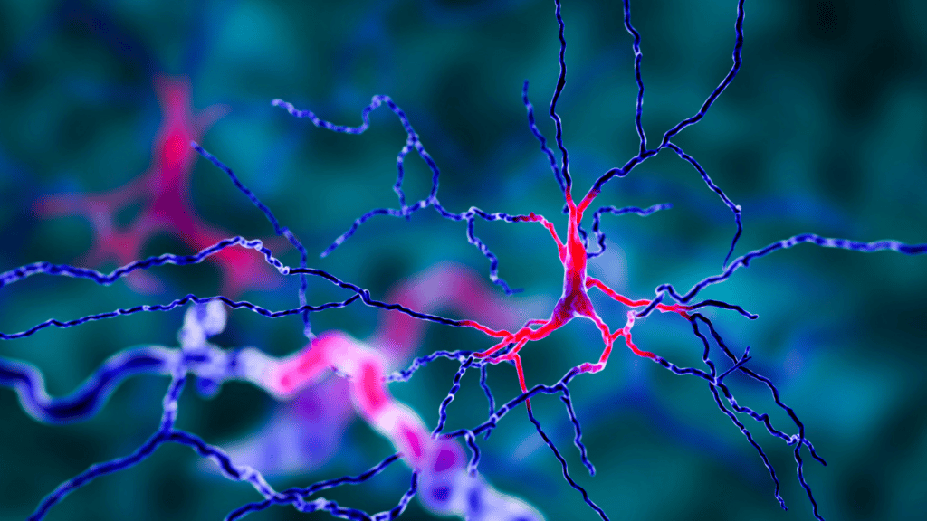 Bright neurons