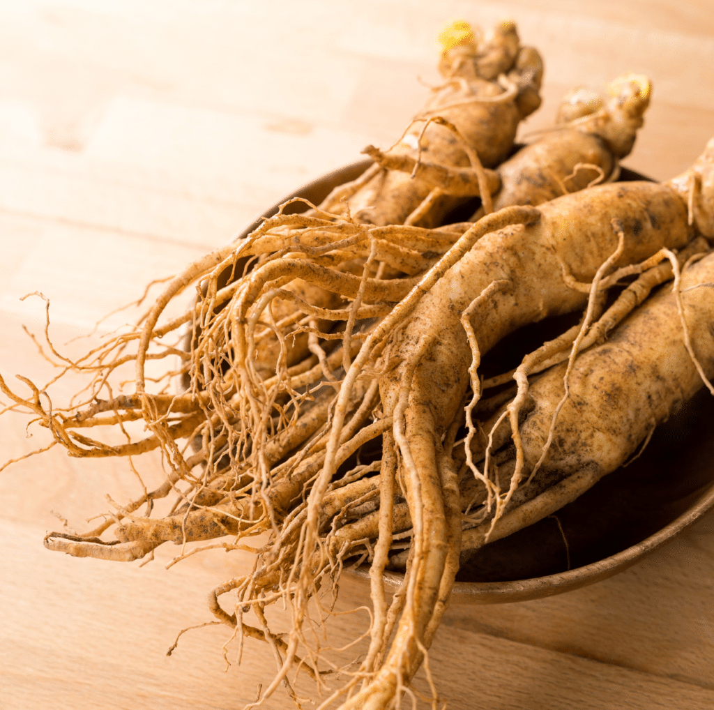 Asian Ginseng