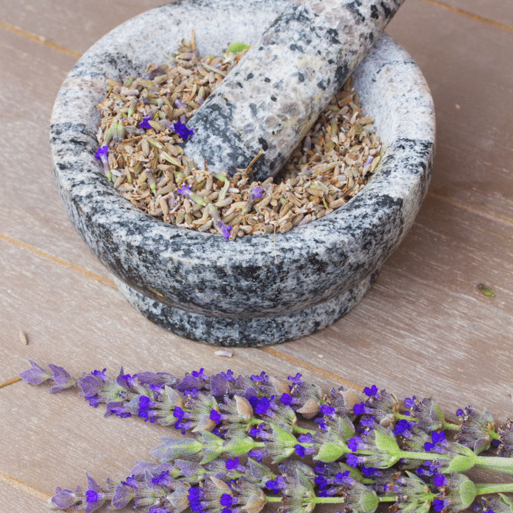 A mortal and pestle along with Lavendar flowers